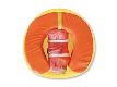 Safety-Kit-(Lifebuoy-horseshoe)-Open-WEB.gif