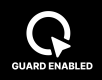 Q Exp logo emblem 2020-02222.png